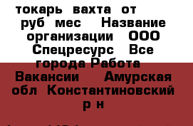 токарь. вахта. от 50 000 руб./мес. › Название организации ­ ООО Спецресурс - Все города Работа » Вакансии   . Амурская обл.,Константиновский р-н